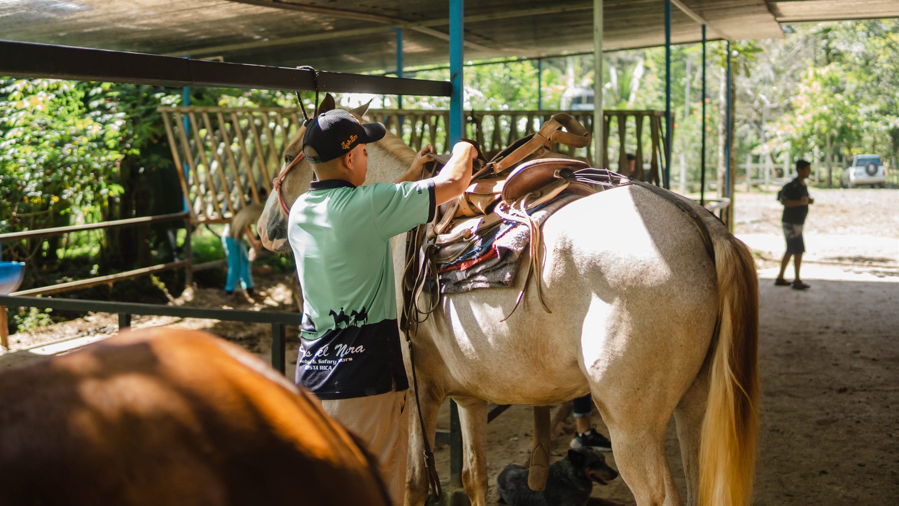 Brisas del Nara guide carefully preparing a horse before the tour