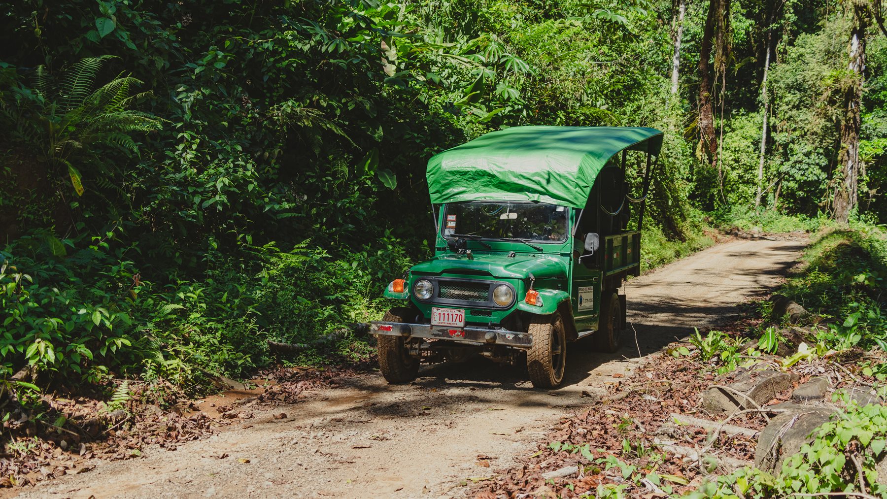 Green open-sided safari truck on a forest road